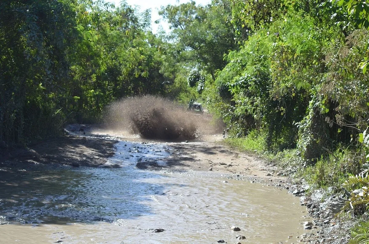 Buggies Adventure - Photo 2