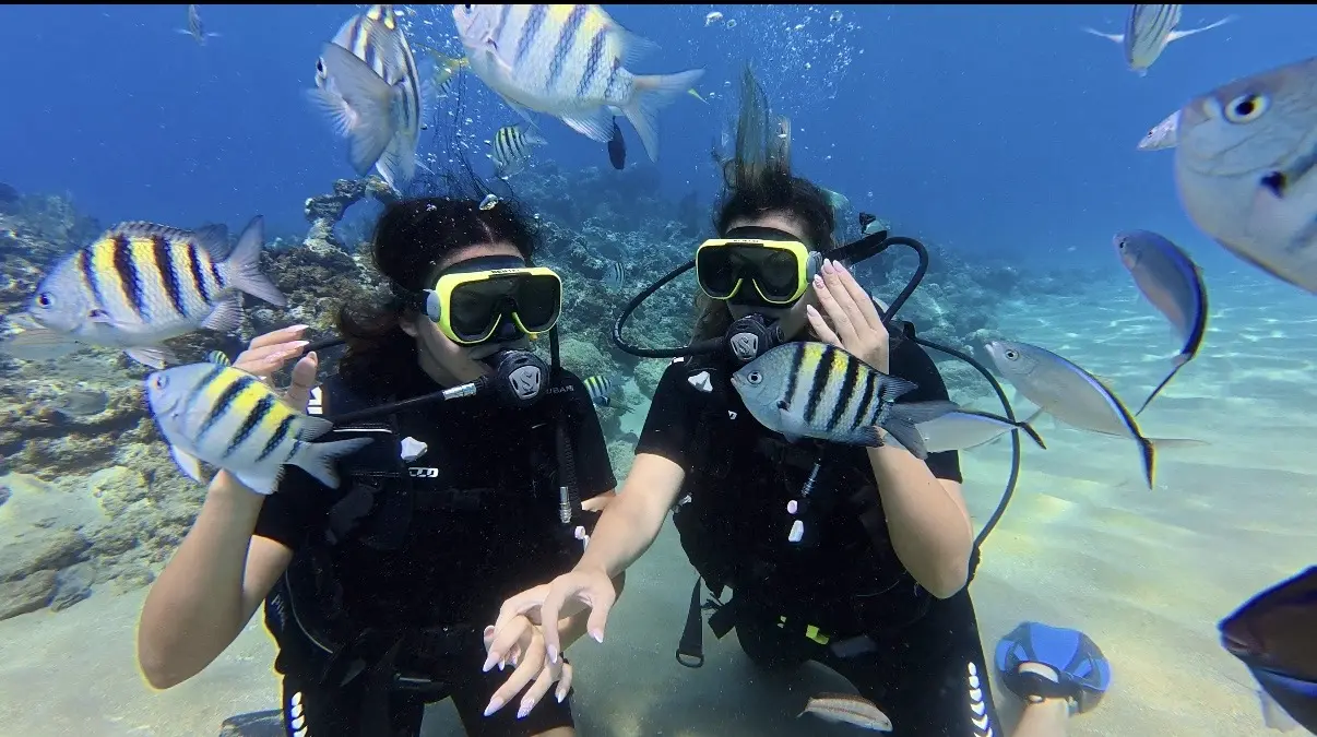 Beginner Scuba Diver (2 Tanks) Excursion