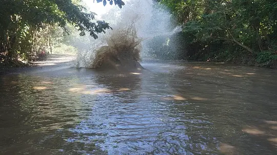 Buggies Adventure - Photo 4