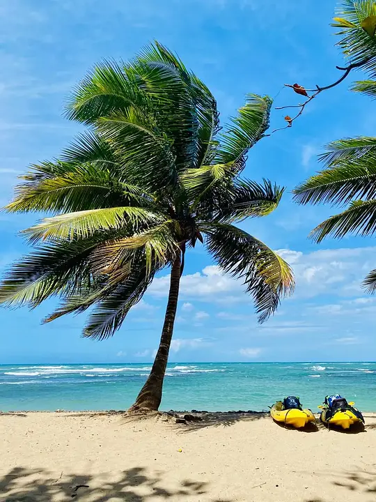 Las Mejores Playas de República Dominicana - Photo 7