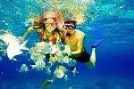 Lancha y Snorkel en Punta Cana thumbnail 7