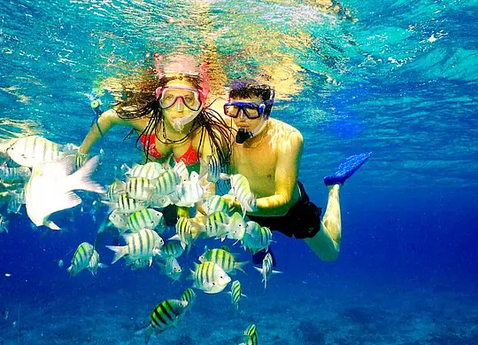 Speedboat & Schnorcheln in Punta Cana - Photo 7