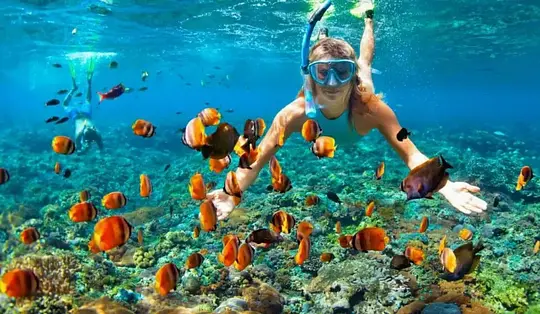 Lancha y Snorkel en Punta Cana - Photo 4