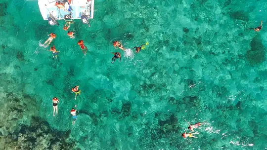 Lancha y Snorkel en Punta Cana - Photo 5