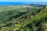 Montagne Redonda et Observation des Baleines à Samaná thumbnail 2