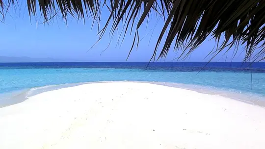 Isla Bonita - Photo 6