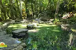 Taino Valley Tropical Park thumbnail 1