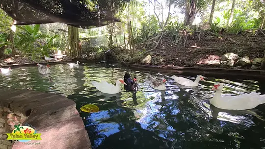 Taino Valley Tropical Park - Photo 5