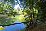 Taino Valley Tropical Park thumbnail 7