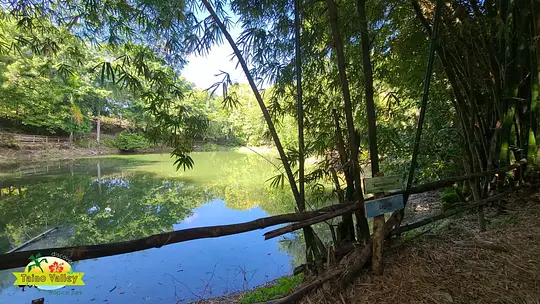 Taino Valley Tropical Park - Photo 7