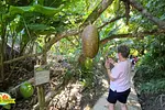 Taino Valley Tropical Park thumbnail 6