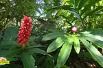 Taino Valley Tropical Park thumbnail 2
