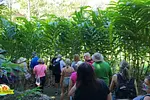 Taino Valley Tropical Park thumbnail 3