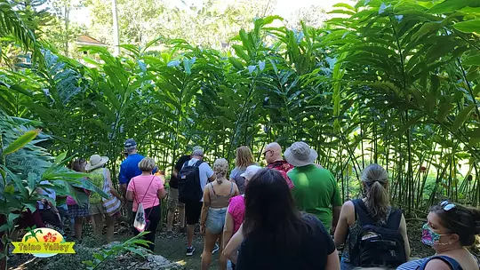 Taino Valley Tropical Park - Photo 3