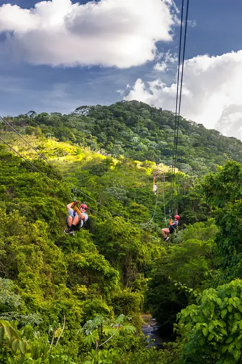 Zipline & Monkeyland Adventure - Photo 2