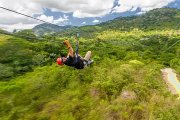 Zipline & Monkeyland Adventure