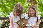 Зиплайн и парк обезьян thumbnail 5