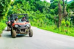 Aventure en buggy dans la jungle thumbnail 6