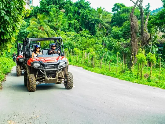 Jungle Buggies Adventure - Photo 6