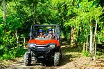 Jungle Buggies Adventure thumbnail 1
