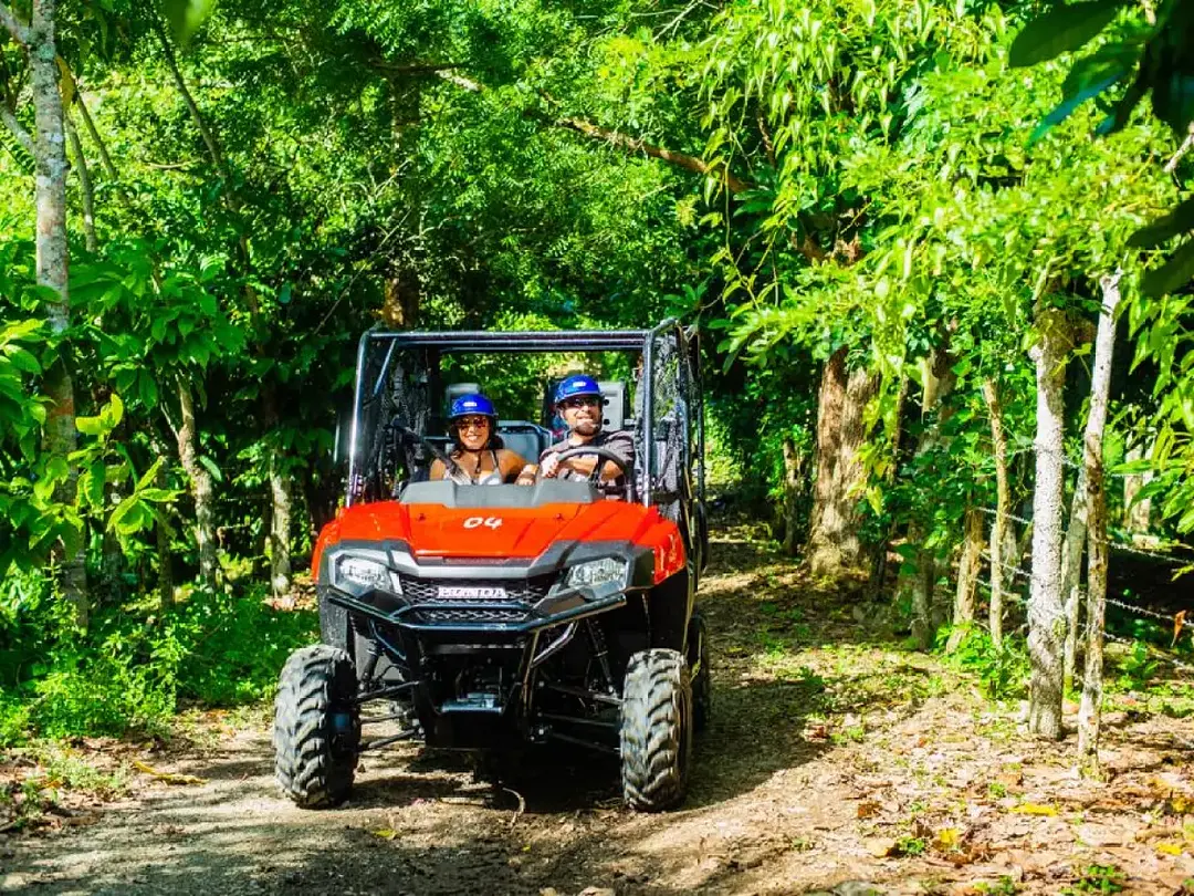 Aventure en buggy dans la jungle - Photo 1
