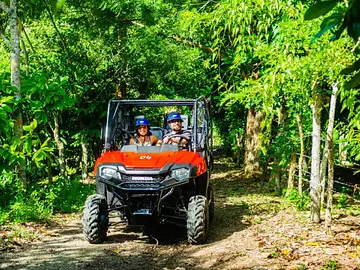Aventure en buggy dans la jungle