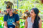 Monkeyland y Tour de Plantación thumbnail 6
