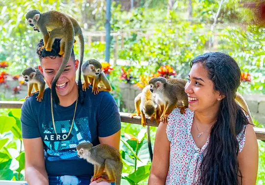 Monkeyland y Tour de Plantación - Photo 6