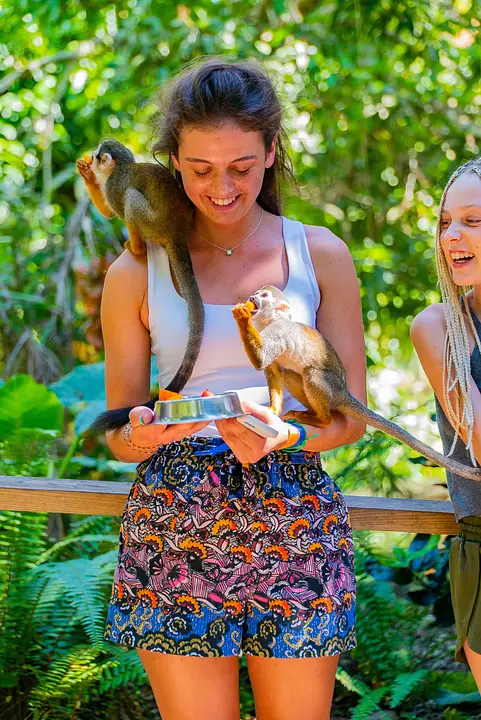 Monkeyland & Plantation Tour - Photo 7