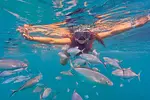 Ocean Runners: Catamaran & Snorkeling thumbnail 3