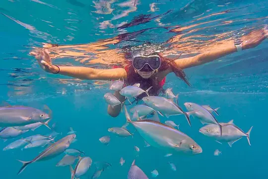 Ocean Runners: Katamaran & Schnorcheln - Photo 3