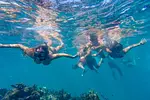 Ocean Runners: Catamaran & Snorkeling thumbnail 4
