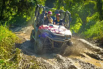 Monkeyland + Jungle Buggies Combo