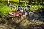 Monkeyland + Jungle Buggies Combo thumbnail 2