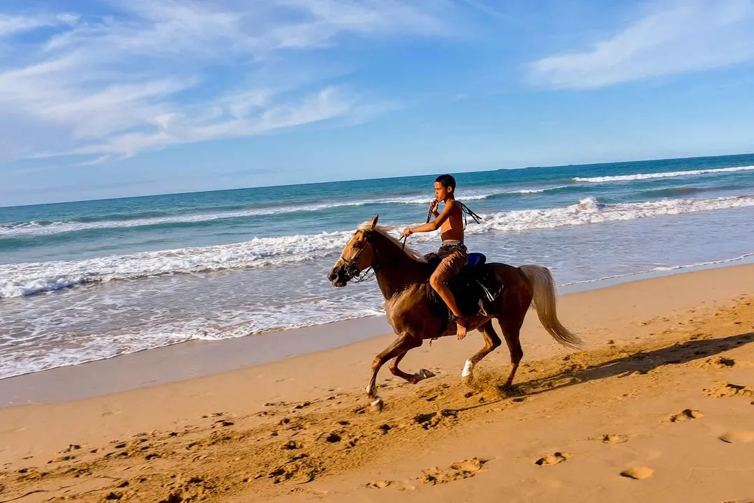 X2 Combo: Zipline + Reiten - Photo 1