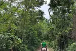 Horseback Riding Adventure thumbnail 2