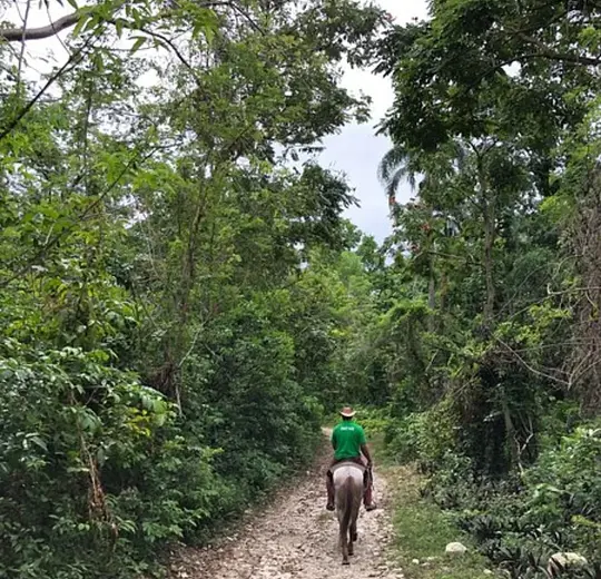 Horseback Riding Adventure - Photo 2