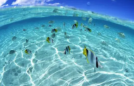 Isla Bonita VIP - Photo 3