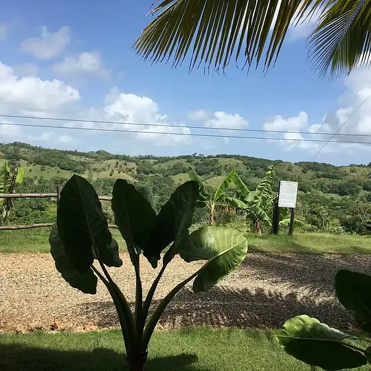 Zipline Adventure - Photo 4