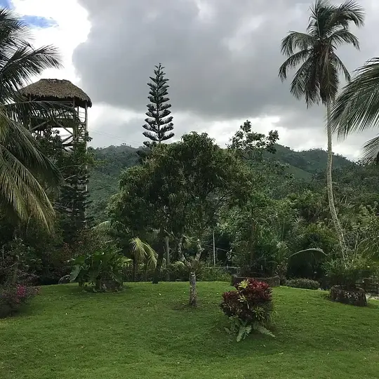 X2 Combo: Zipline + Waterfalls Adventure - Photo 6