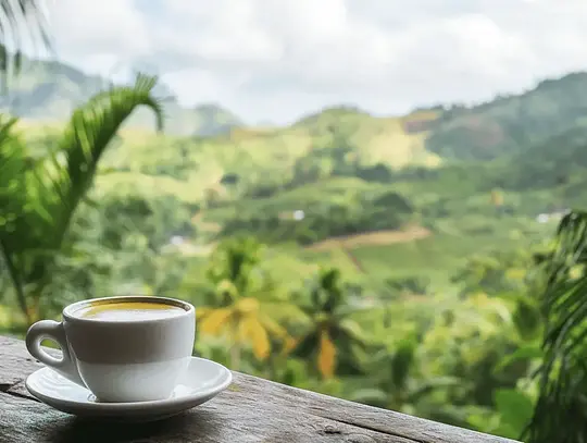 Que manger en République dominicaine - Photo 2