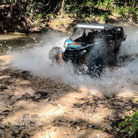 Muscle Buggy Can-Am - Photo 3