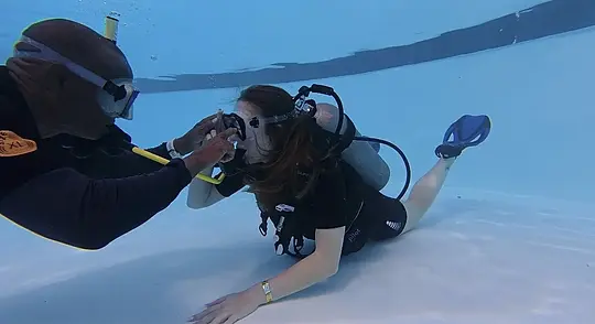 Anfänger Taucher (1 Flasche) - Photo 4