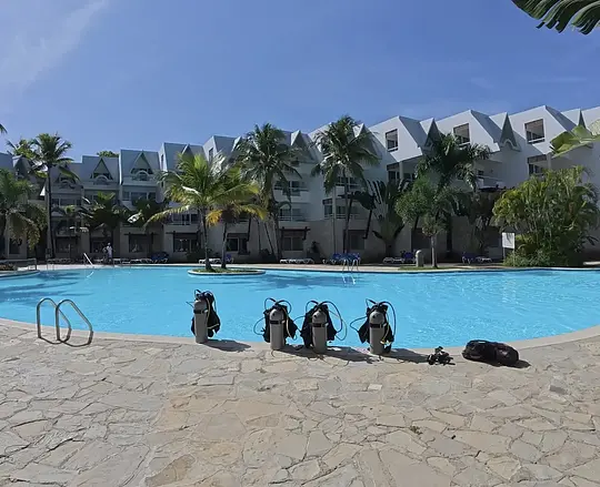 Beginner Scuba Diver (2 Tanks) - Photo 2