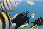 Beginner Scuba Diver (2 Tanks) thumbnail 3
