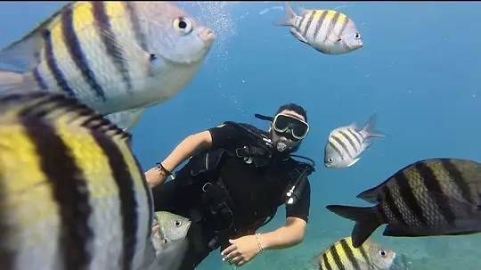 Beginner Scuba Diver (2 Tanks) - Photo 3