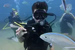 Beginner Scuba Diver (2 Tanks) thumbnail 4