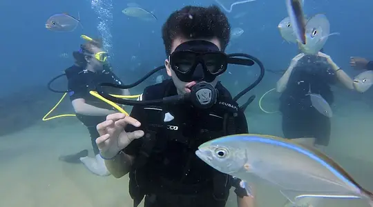 Beginner Scuba Diver (2 Tanks) - Photo 4