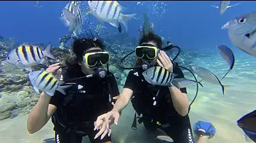 Buceo para Principiantes Excursion
