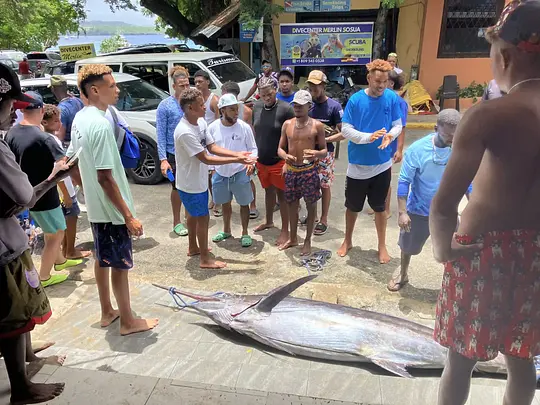 Tour de Pêche en Haute Mer - Photo 3